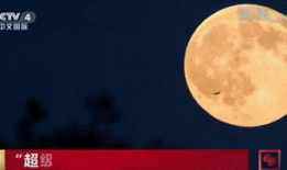 新月视频,探索未知，点亮视野的科技之光